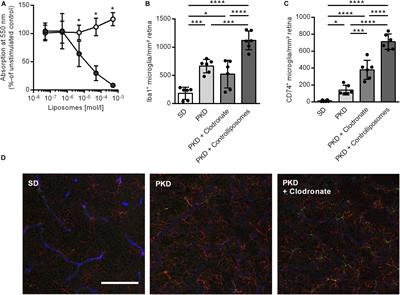 Microglial Activation Is Associated With Vasoprotection in a Rat Model of Inflammatory Retinal Vasoregression